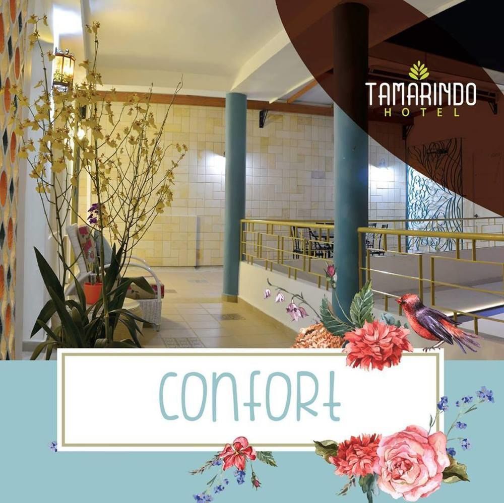 Casa de Pinos Hotel Boutique Bucaramanga Extérieur photo